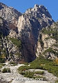 wbgarden alps 36